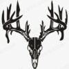 Deer Antler Skull