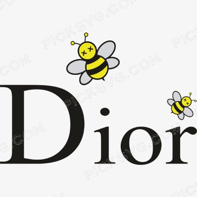Dior Kaws Bee