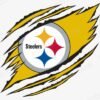 Ripped Pittsburgh Steelers