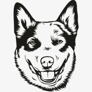 Australian Cattle Dog Svg - Animal Svg