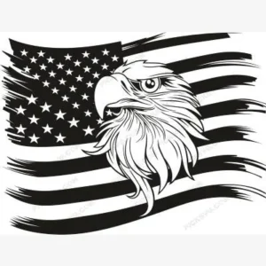 American Flag With Eagle Black SVG - Patriotic And Flags