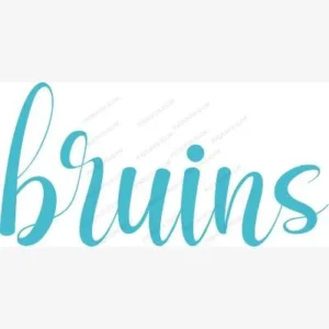 Bruins SVG - Sports Logos